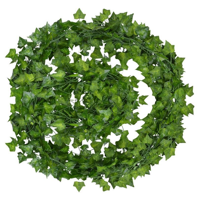 Evergreen | Vibrant and Green Leaves in Every Season
