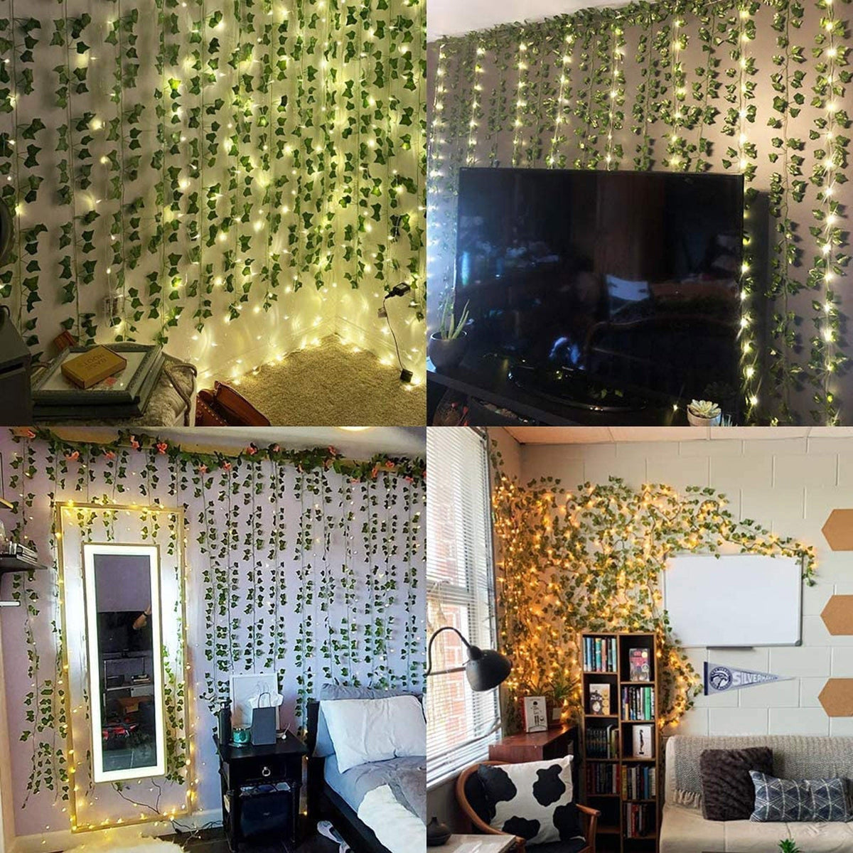 Evergreen | Vibrant and Green Leaves in Every Season