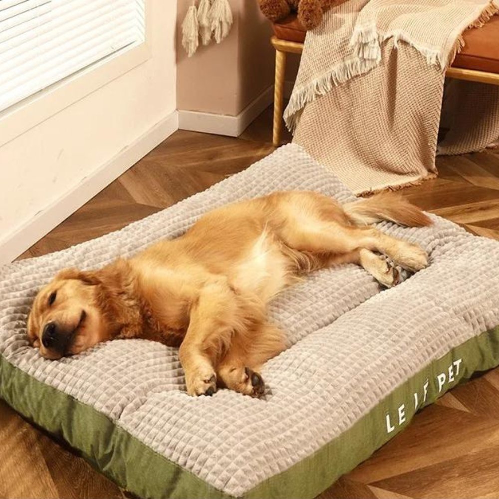 Fleece Dog Bed