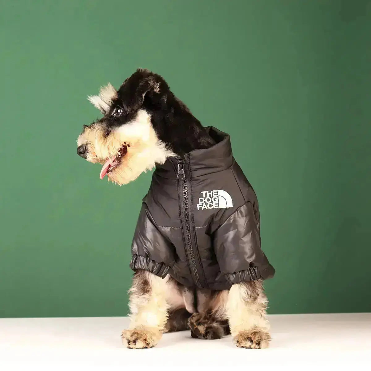 FleekFit | Dog Winter Jacket | Insulated and Windproof