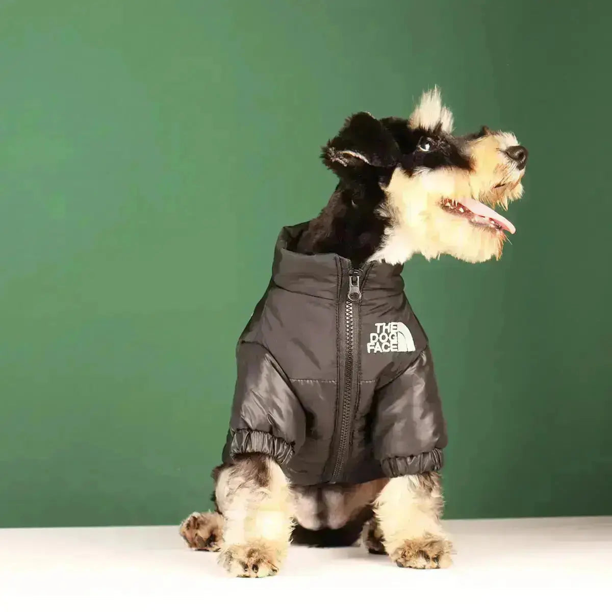 FleekFit | Dog Winter Jacket | Insulated and Windproof