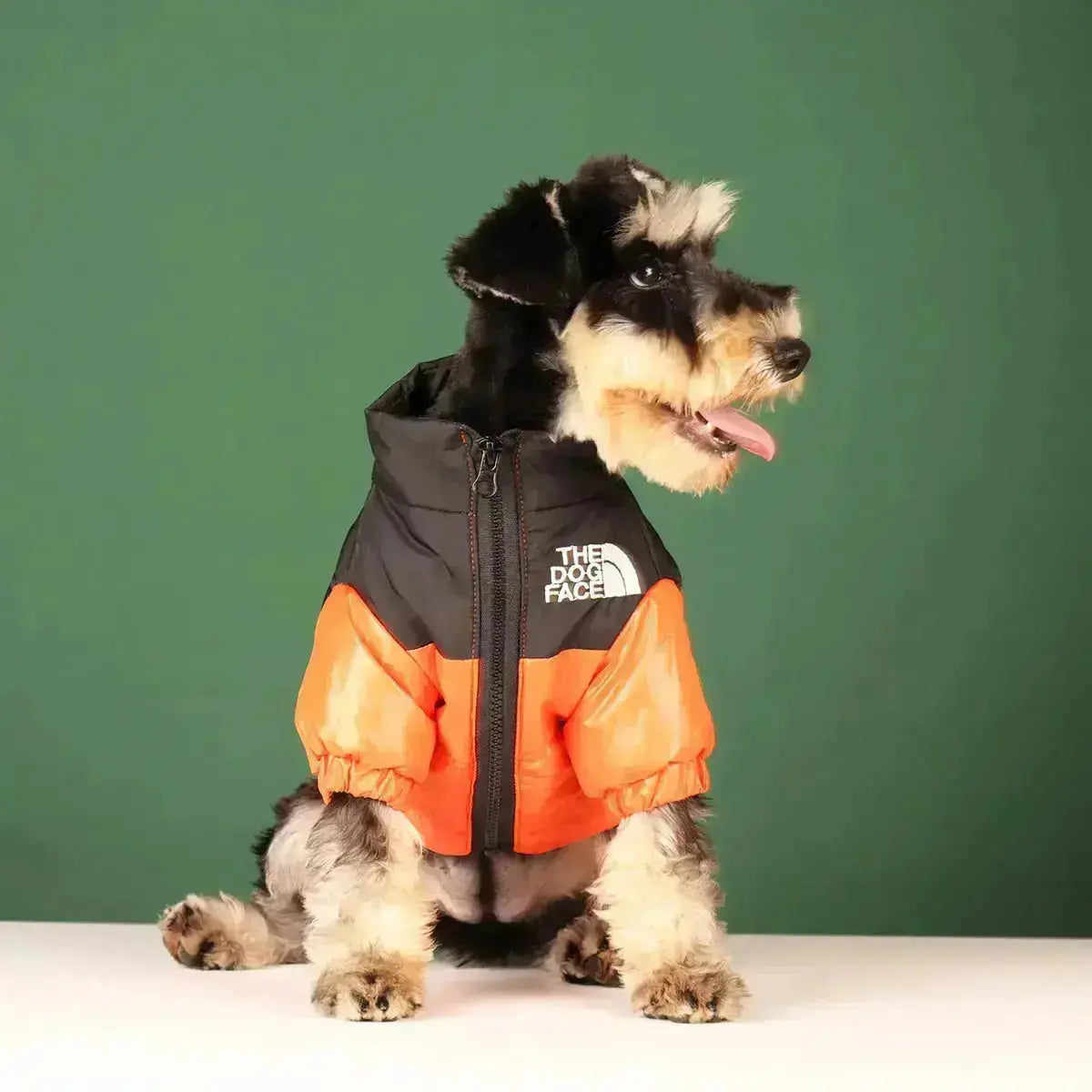 FleekFit | Dog Winter Jacket | Insulated and Windproof