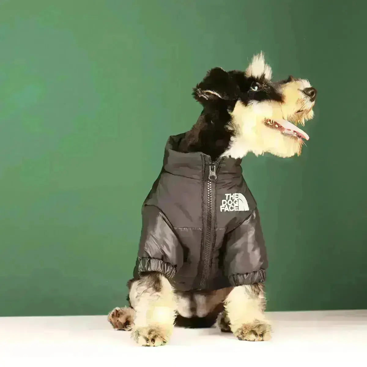 FleekFit | Dog Winter Jacket | Insulated and Windproof