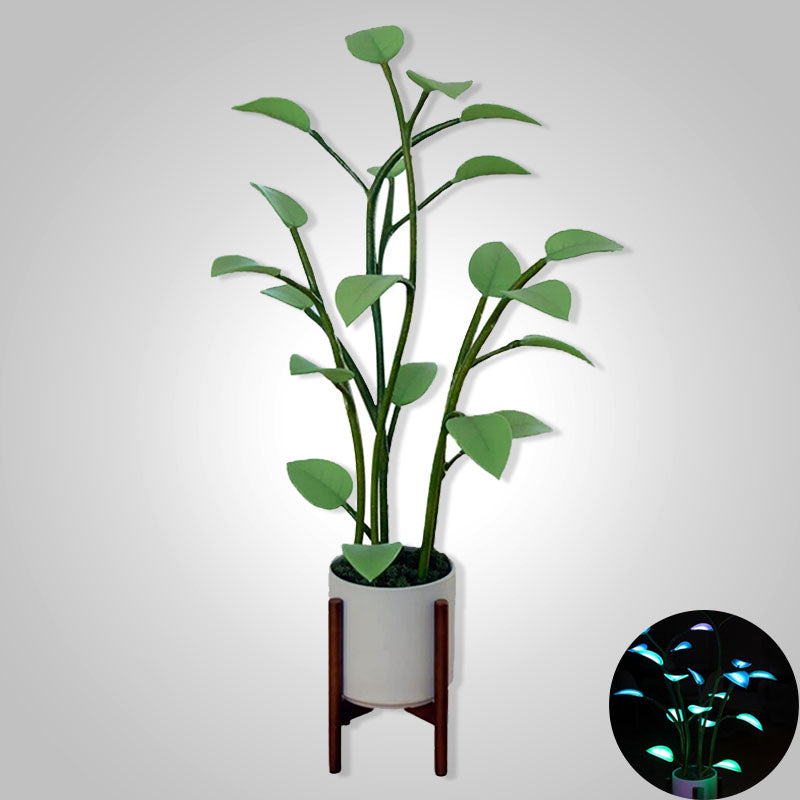 FleekFit | Luminous Bloom | Magical LED Plant