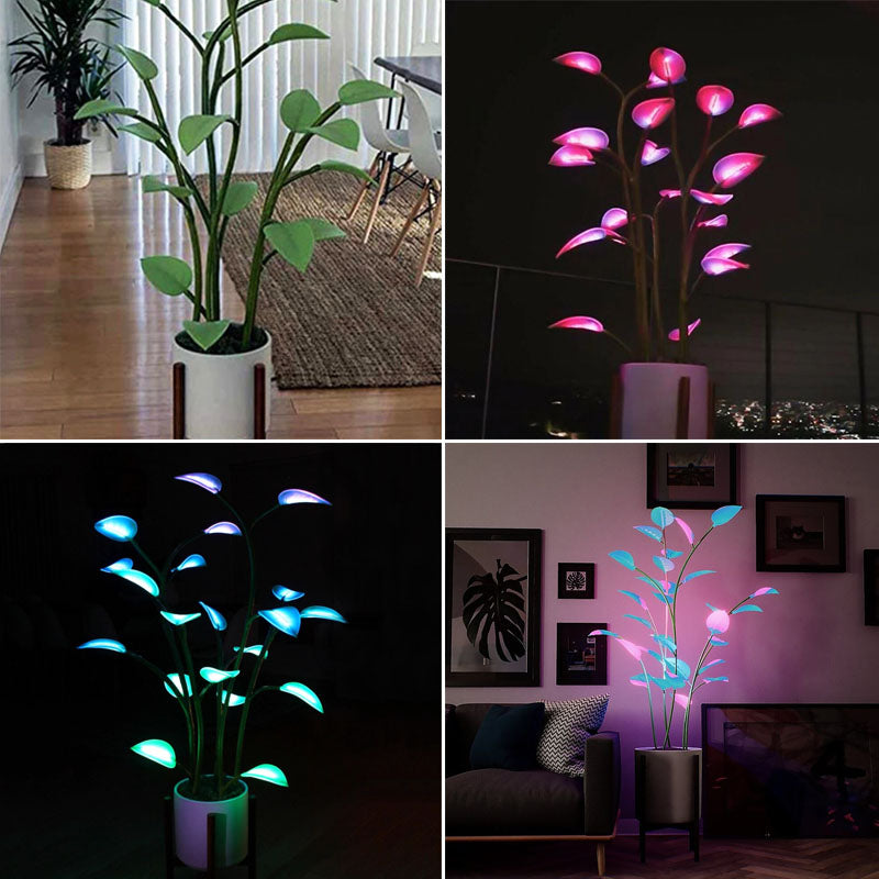 FleekFit | Luminous Bloom | Magical LED Plant