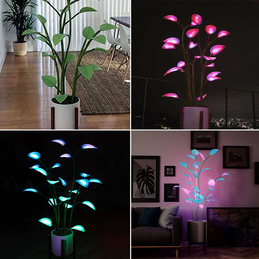 FleekFit | Luminous Bloom | Magical LED Plant