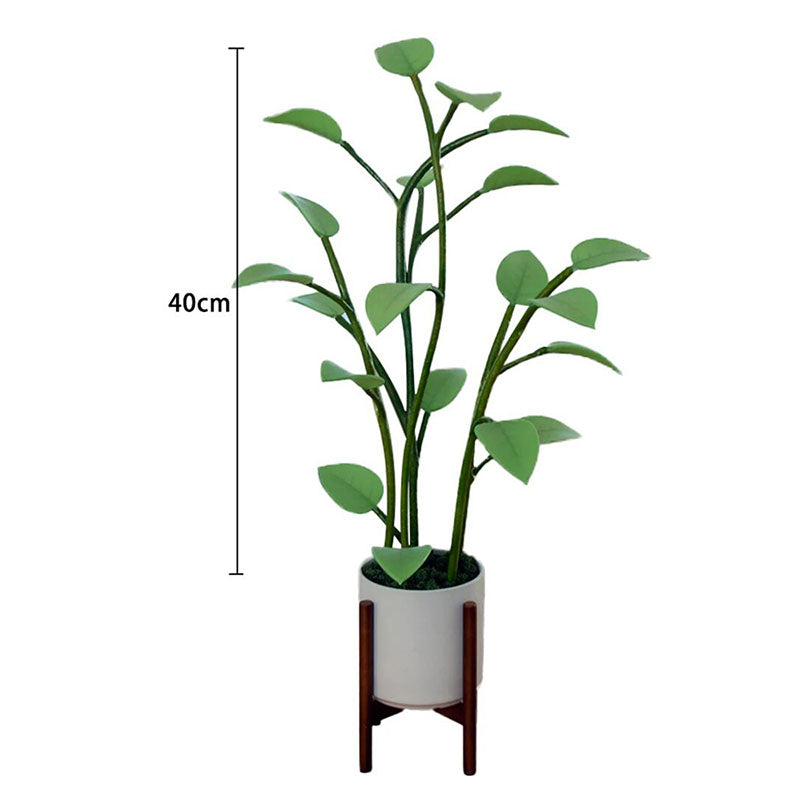 FleekFit | Luminous Bloom | Magical LED Plant