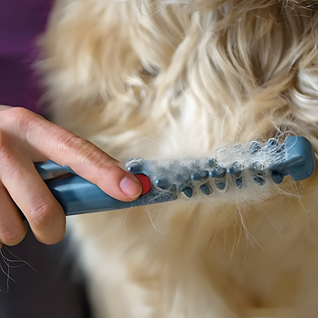 FleekFit | No more knots and tangles for your pet