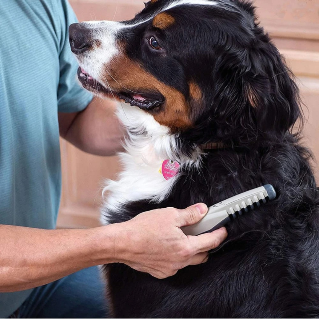 FleekFit | No more knots and tangles for your pet