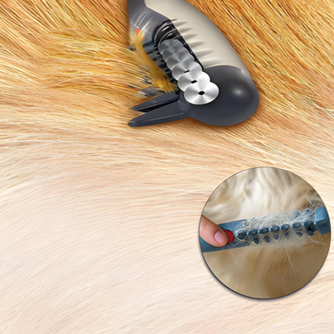 FleekFit | No more knots and tangles for your pet