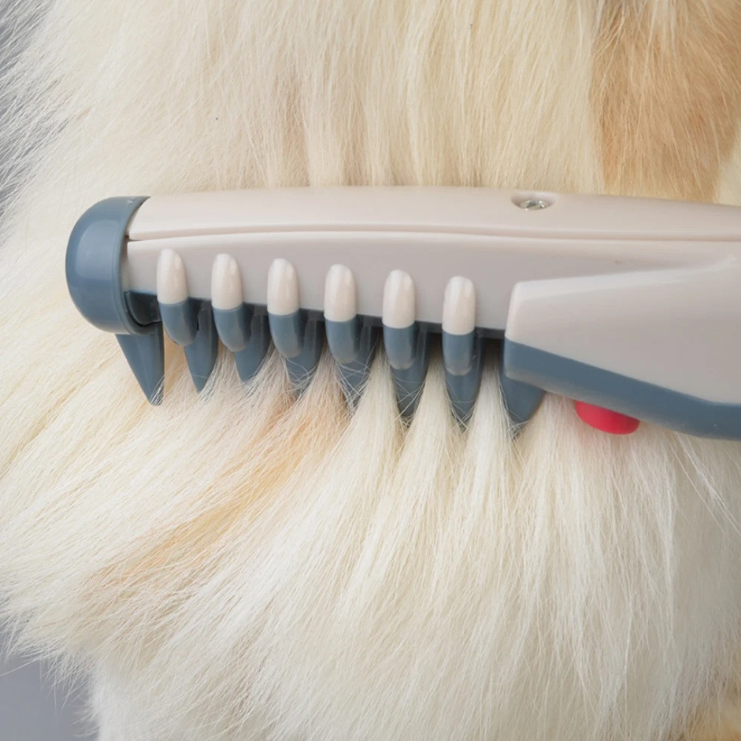 FleekFit | No more knots and tangles for your pet