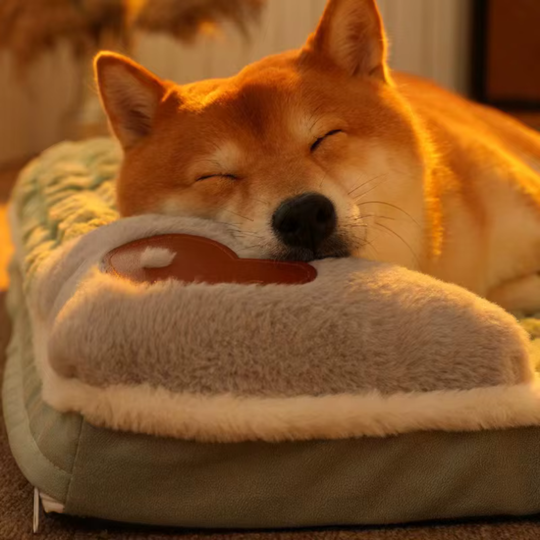 FleekFit | Pawselle Orthopedic Memory Foam Pet Bed