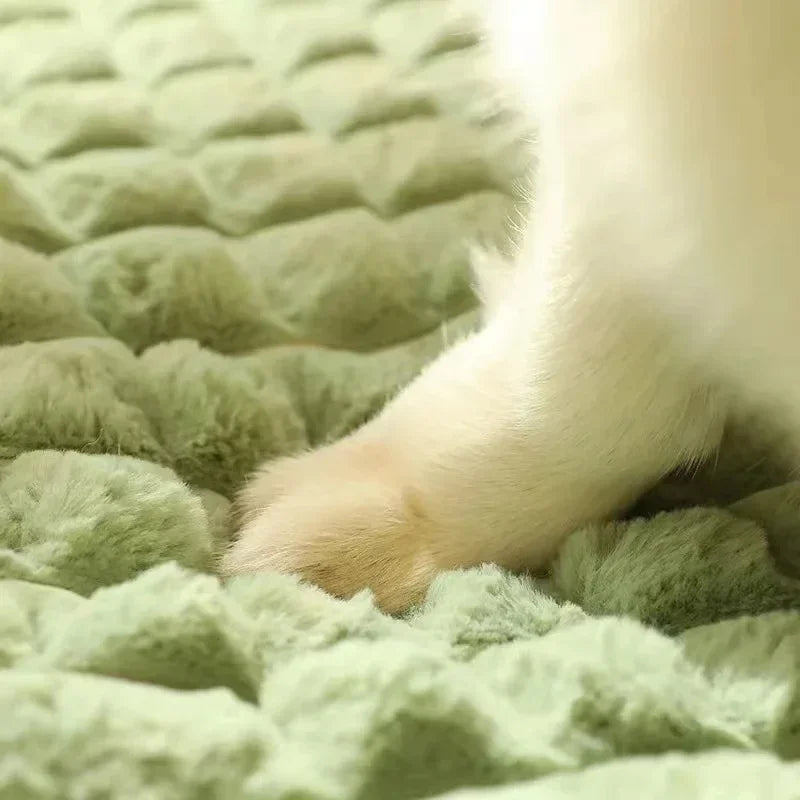 FleekFit | Pawselle Orthopedic Memory Foam Pet Bed