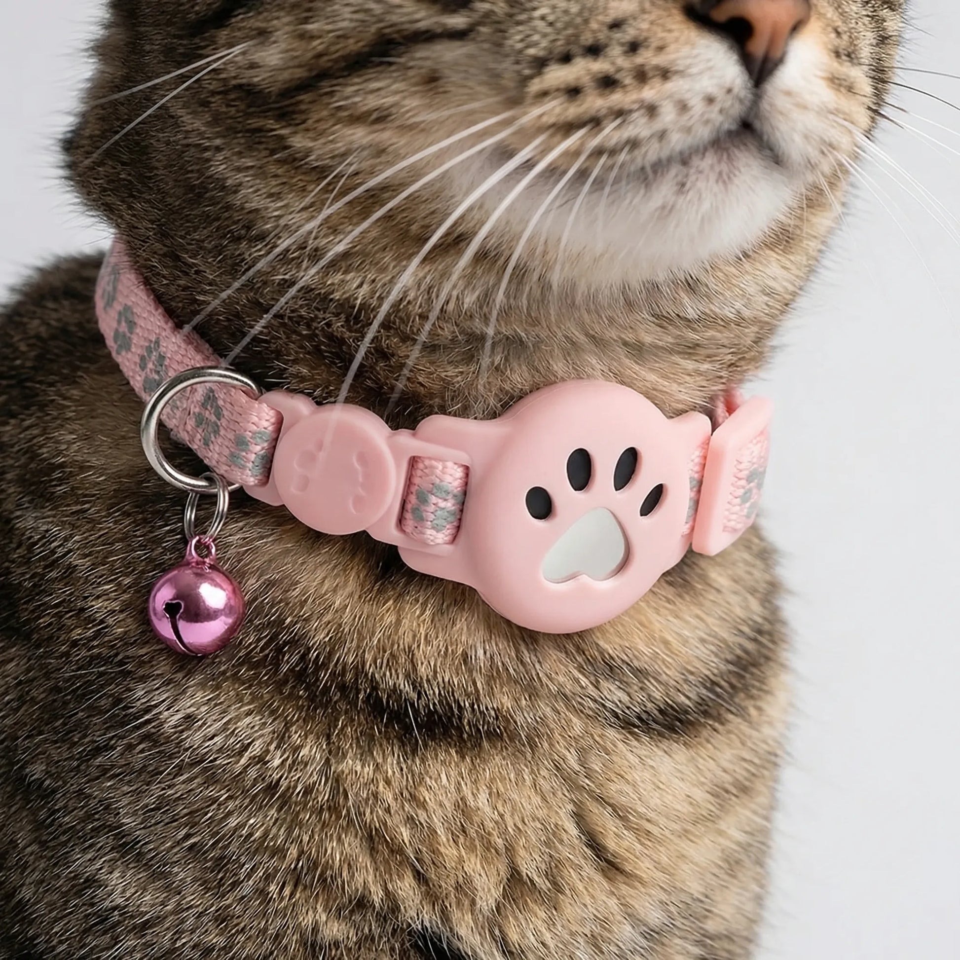 FleekFit | Pawtrackr GPS-Enabled Adjustable Pet Collar
