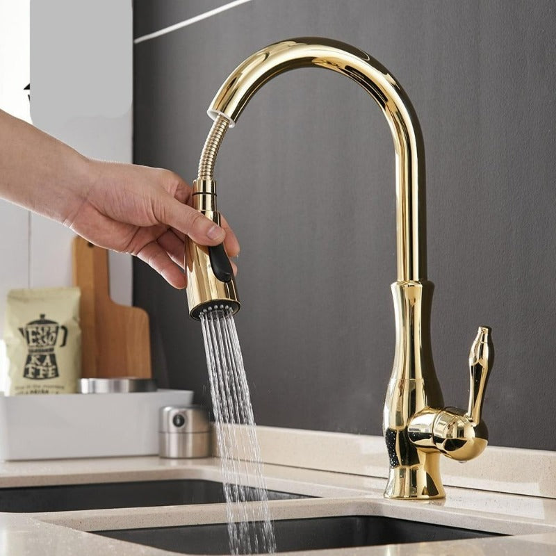 FlexiFlow | Pull-Out Kitchen Faucet