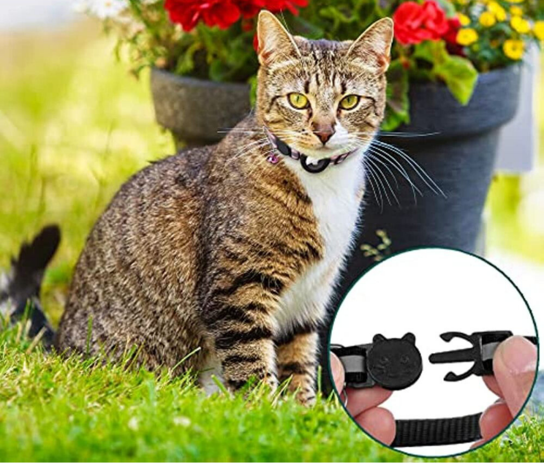 GPS Collar for Cats - Reflective Safety and Comfort