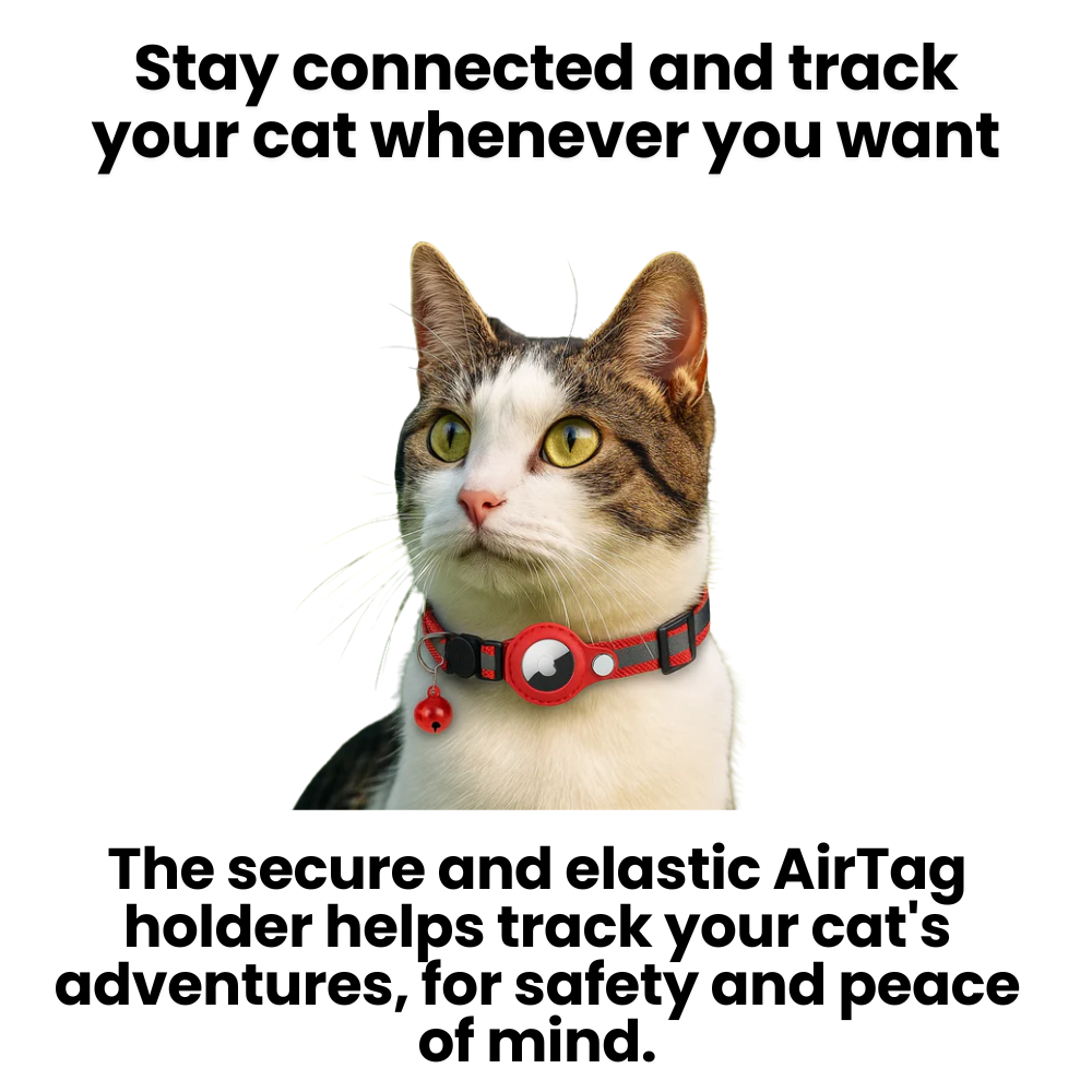 GPS Collar for Cats - Reflective Safety and Comfort