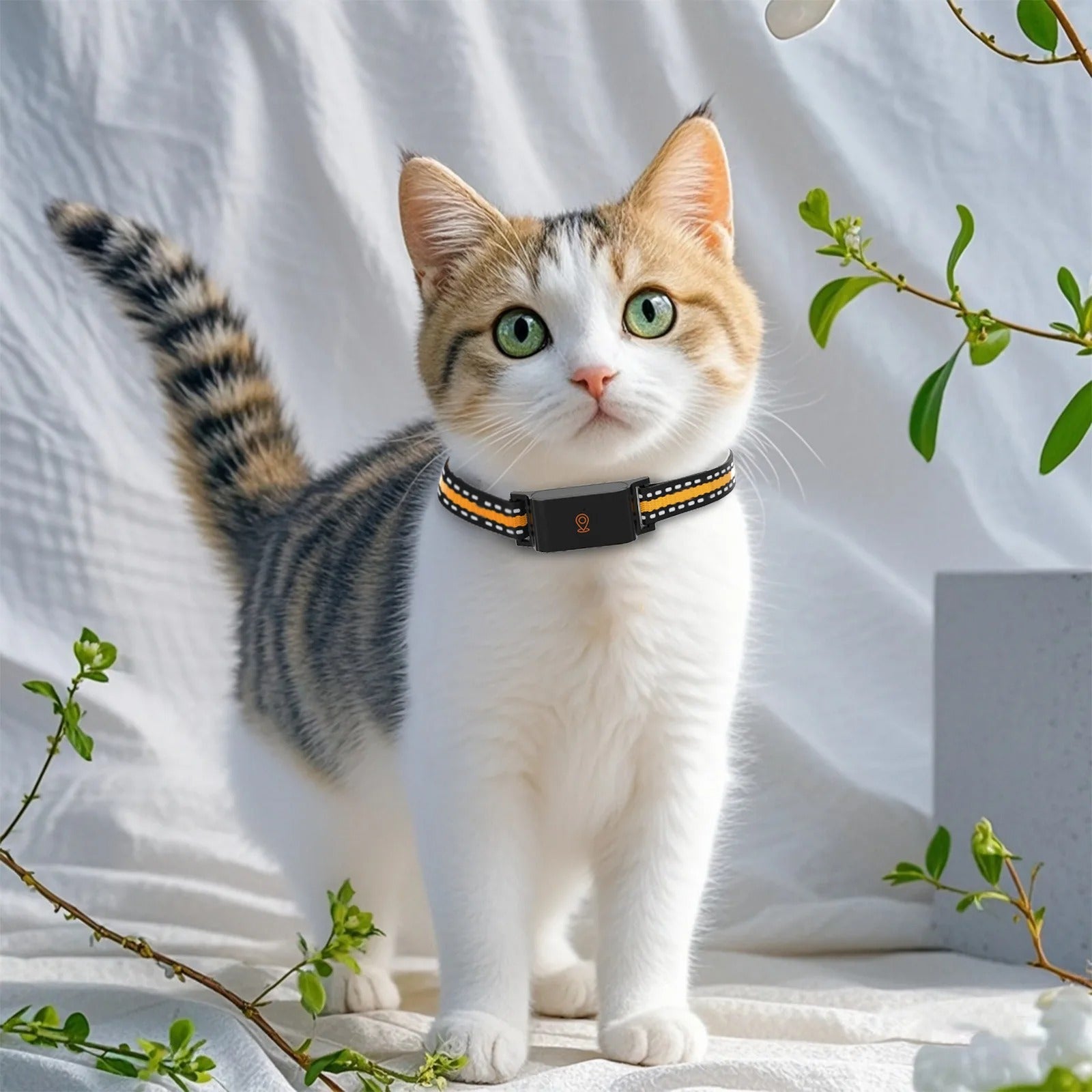 GPS Collar for Dogs and Cats - Unlimited Range, Accurate Tracking