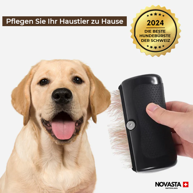 Groomy™ - Pet Brush