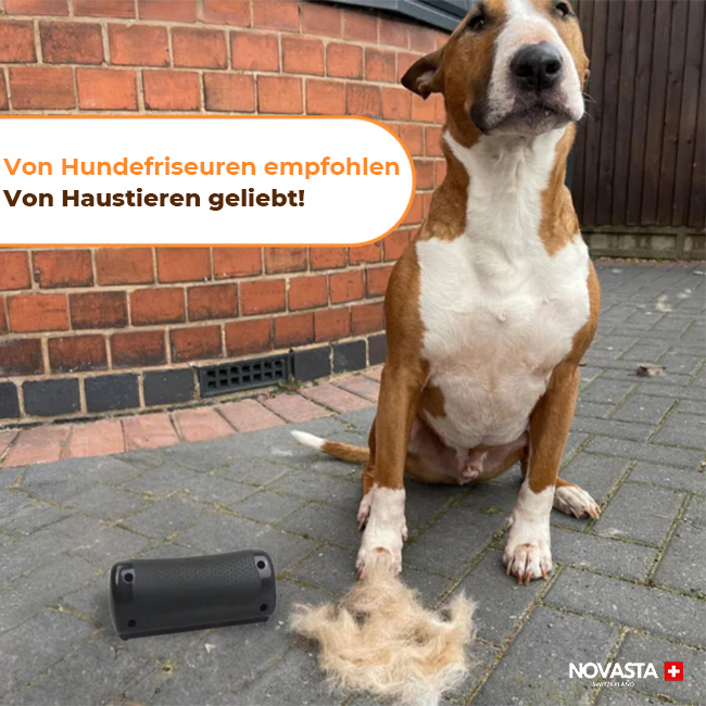 Groomy™ - Pet Brush