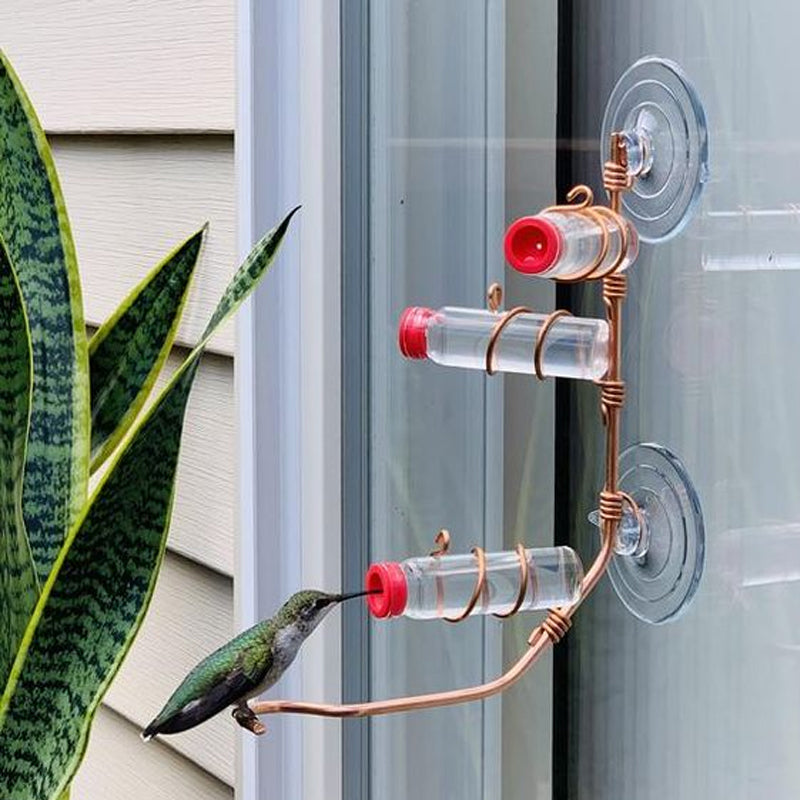 Hummingbird Feeder for Window Viewing
