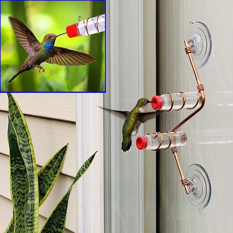 Hummingbird Feeder for Window Viewing