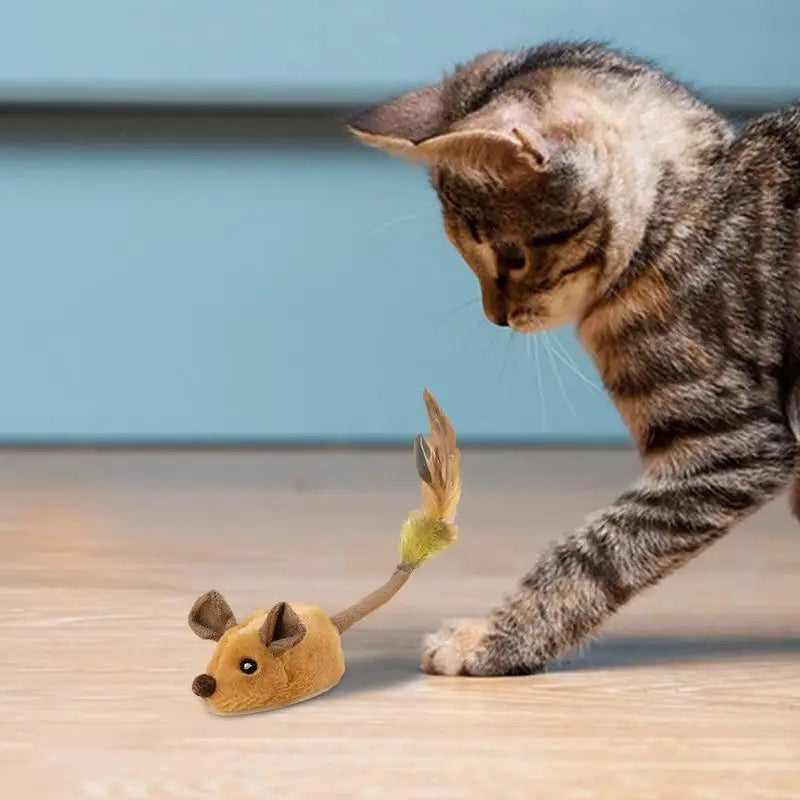 Interactive Cat Toy with Realistic Mouse Movements