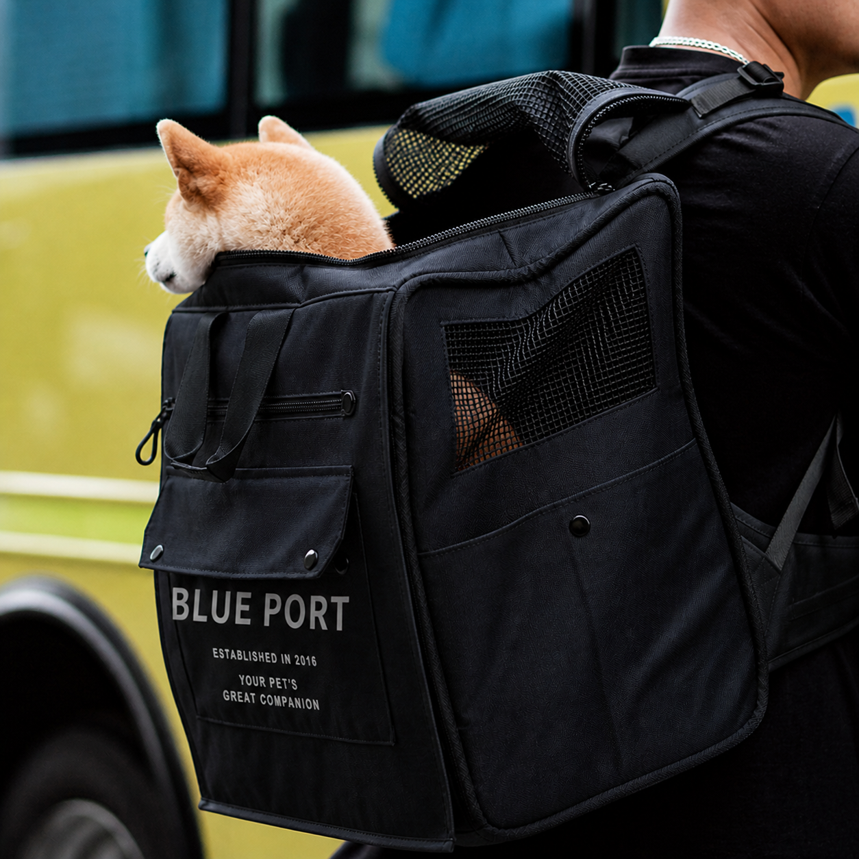 Large Waterproof Pet Travel Backpack - Breathable Mesh
