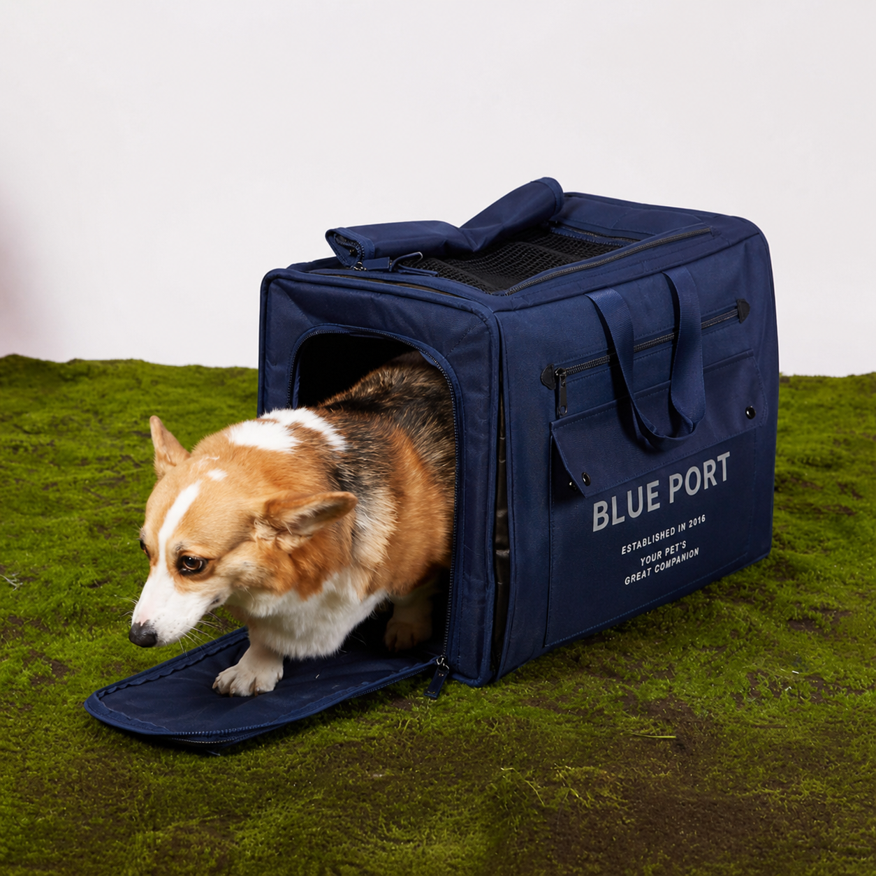 Large Waterproof Pet Travel Backpack - Breathable Mesh