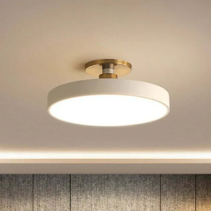 Modern Nordic LED Ceiling Lamp