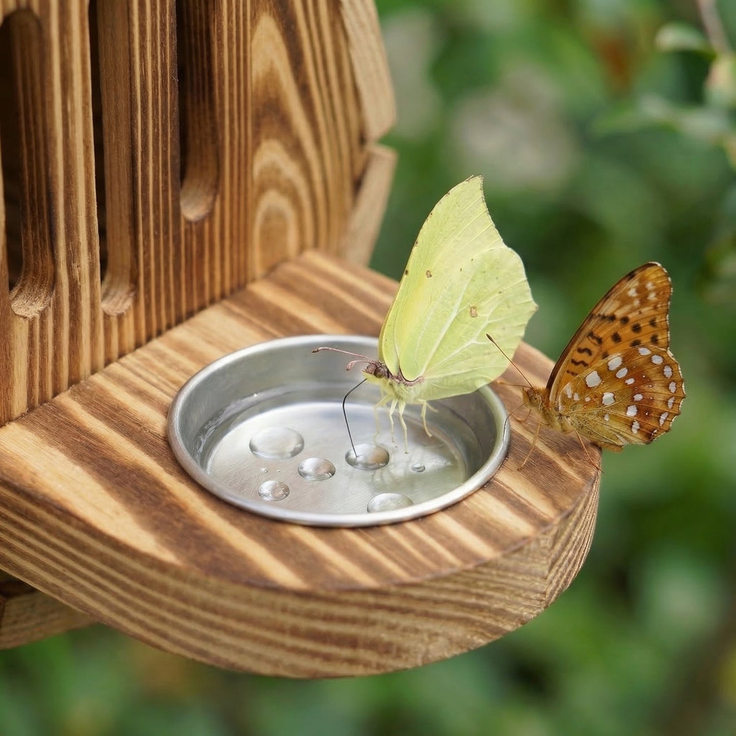 Nectaris - Teardrop Hanging Butterfly House