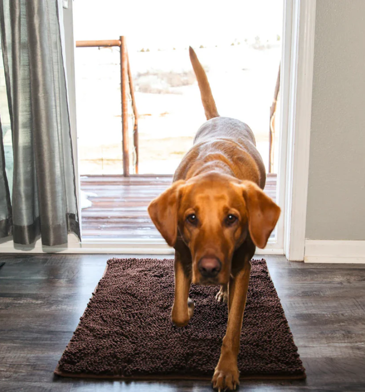 Non-Slip Super Absorbent Dog Mat Made of Microfiber