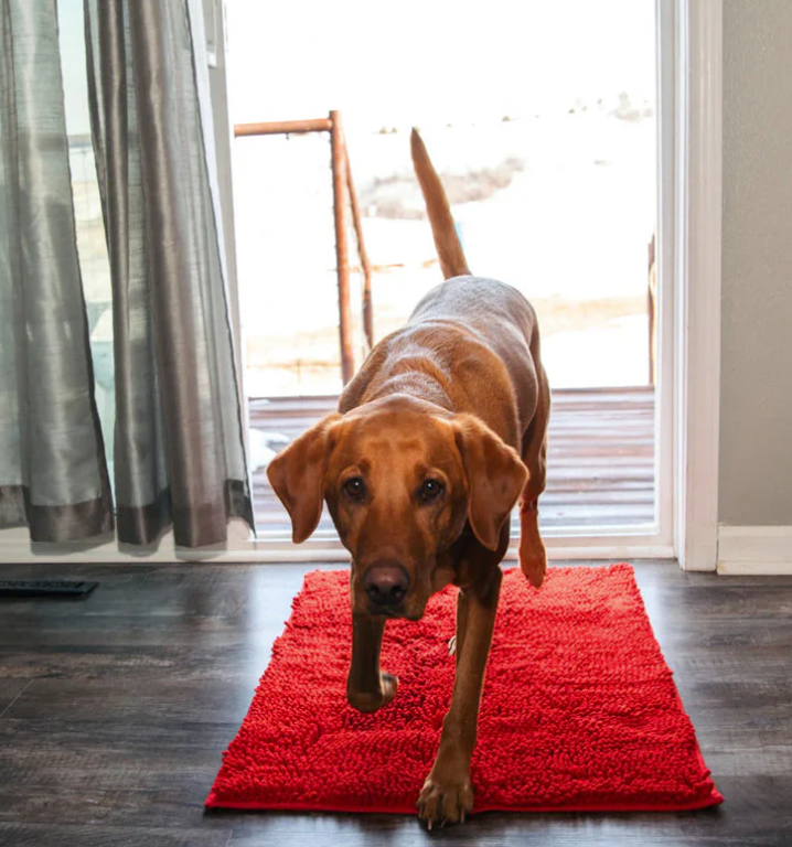 Non-Slip Super Absorbent Dog Mat Made of Microfiber