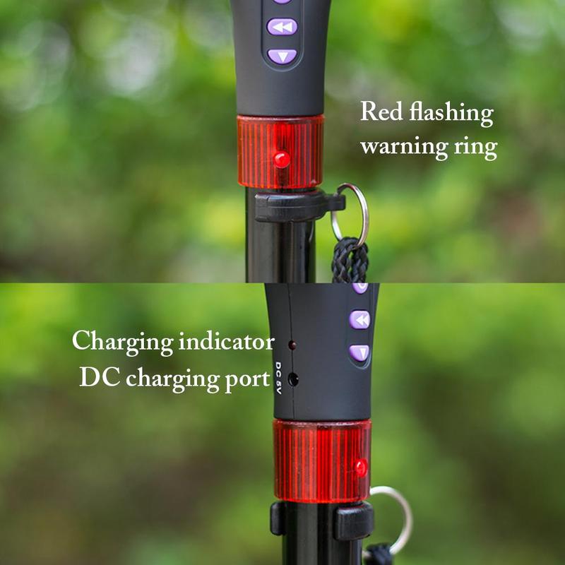 Nordic Walking Poles for Stability and Comfort