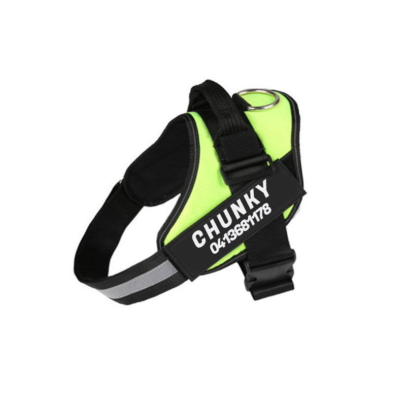 Personalized No-Pull Dog Harness - Comfort & Safety