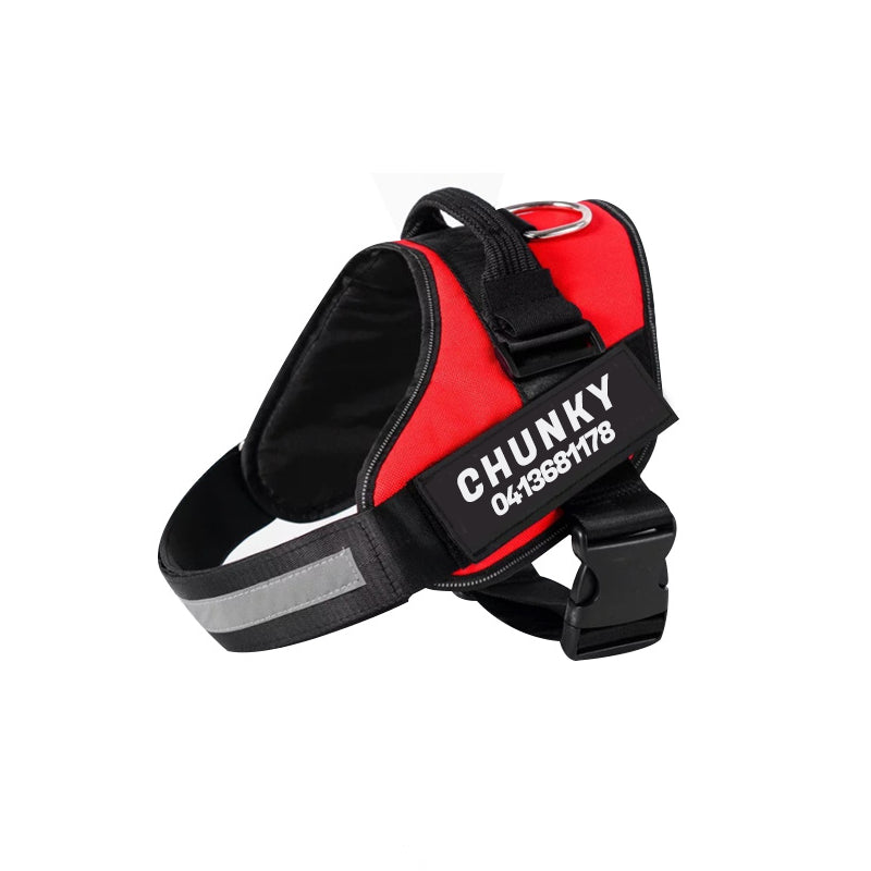 Personalized No-Pull Dog Harness - Comfort & Safety