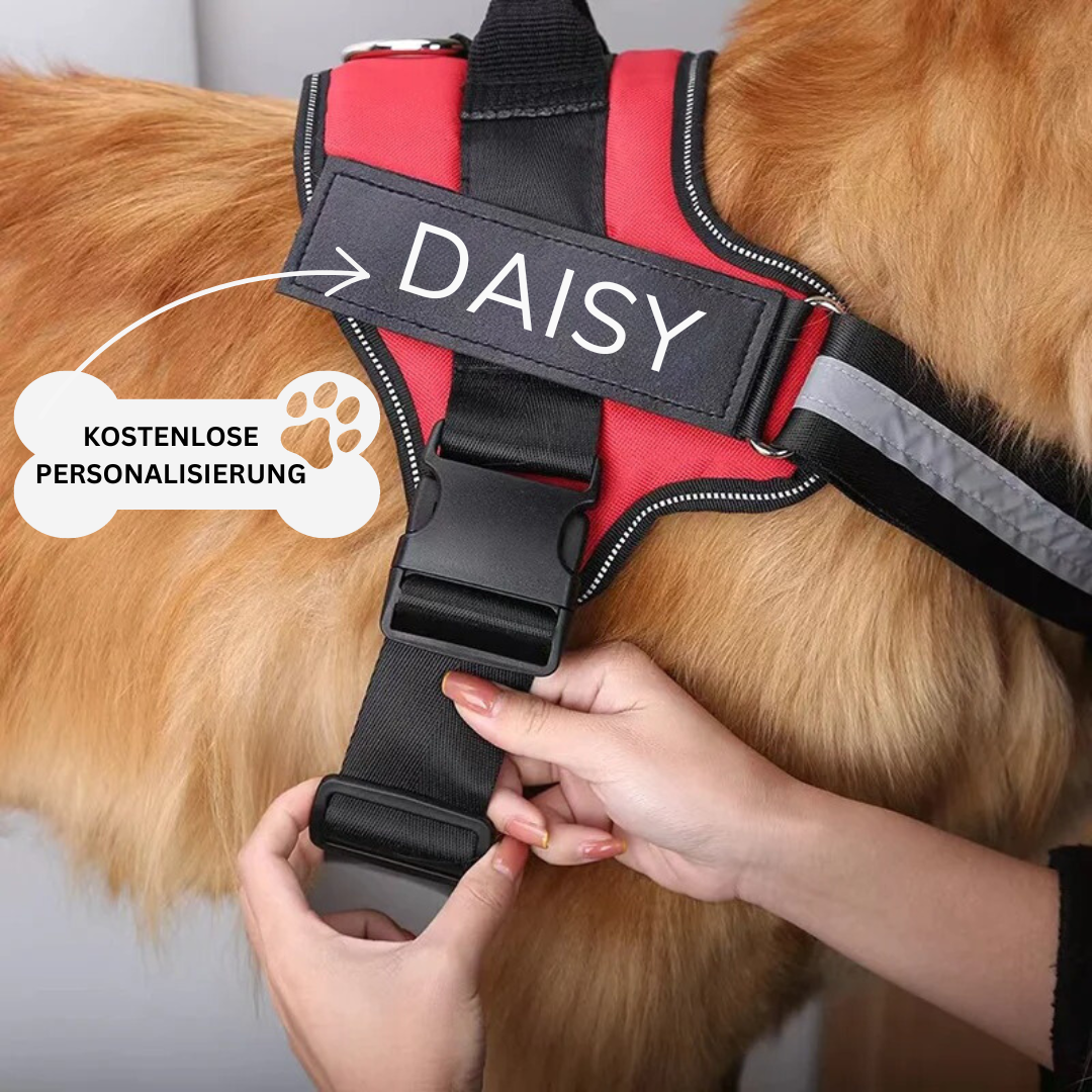 Personalized No-Pull Dog Harness - Comfort & Safety
