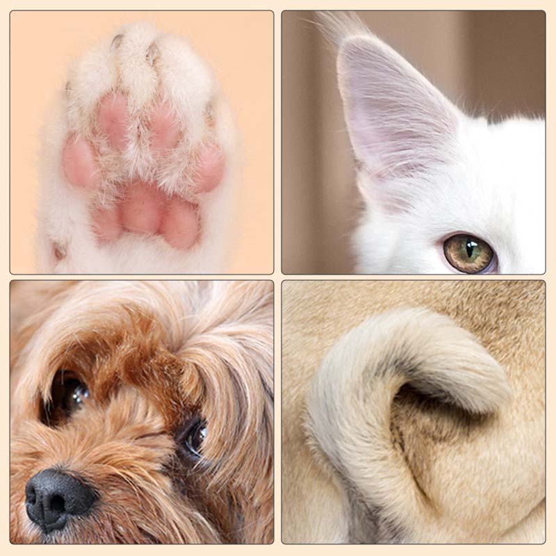 Pet Hair Trimmer | LED Light | Waterproof & Quiet