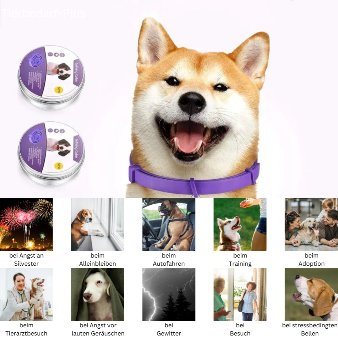 Pheromone Calming Collar - Natural Relaxation | Pets