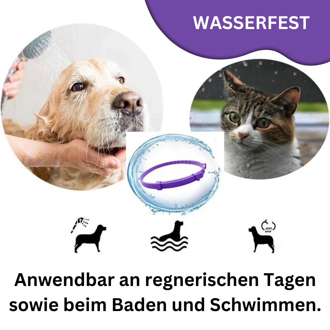 Pheromone Calming Collar - Natural Relaxation | Pets