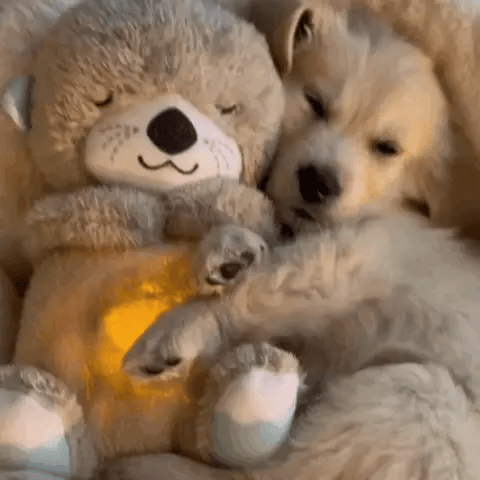 Plush Toy Koala/Rabbit - Softness and Comfort