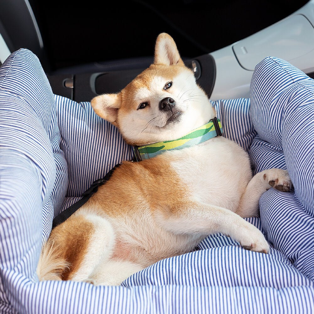 Portable Pet Booster Dog Car Seat Bed with Safety Harness