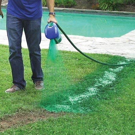 Quick Grow Liquid Lawn Seed Spray for Lush Green Lawns