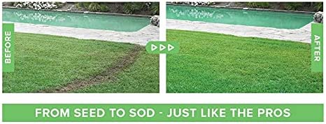 Quick Grow Liquid Lawn Seed Spray for Lush Green Lawns