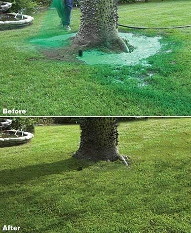 Quick Grow Liquid Lawn Seed Spray for Lush Green Lawns