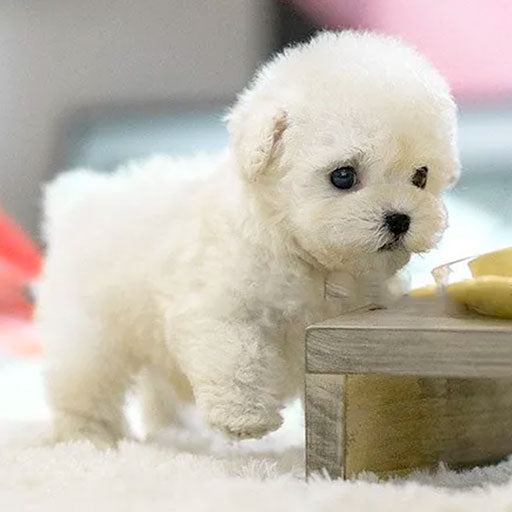 Realistic Interactive Plush Puppy Toy