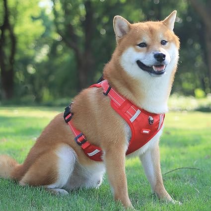 Reflective Dog Harness for Maximum Visibility and Comfort
