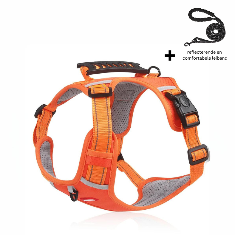 Reflective Dog Harness for Maximum Visibility and Comfort