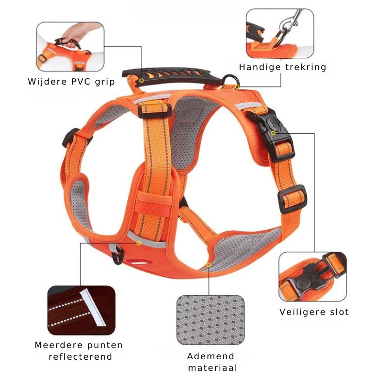 Reflective Dog Harness for Maximum Visibility and Comfort