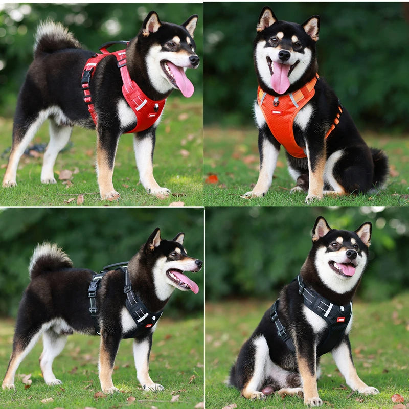 Reflective Dog Harness for Maximum Visibility and Comfort